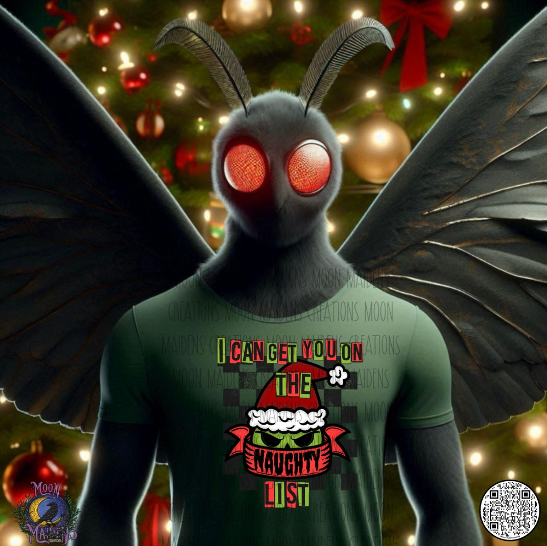 I can get you on the naughty list T shirt