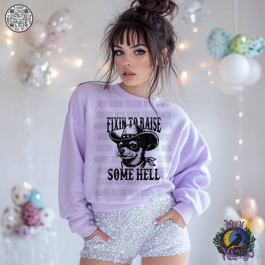 Fixin to raise some hell sweatshirt